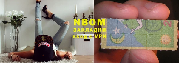индика Балабаново