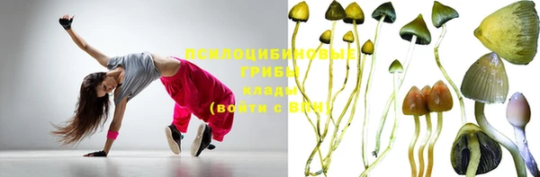 прущие крисы Балахна
