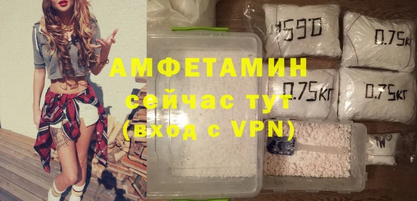 индика Балабаново