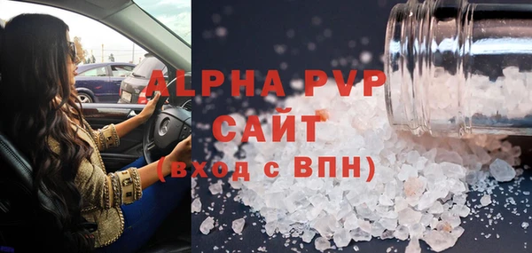 индика Балабаново