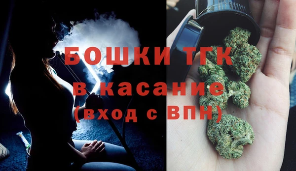 индика Балабаново